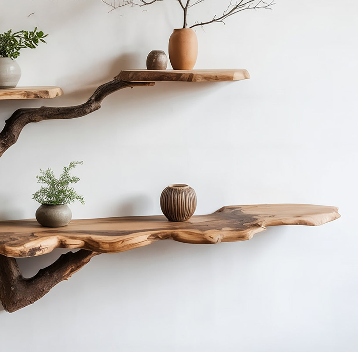 Tree Branch Floating Bücherregal aus recyceltem Massivholz