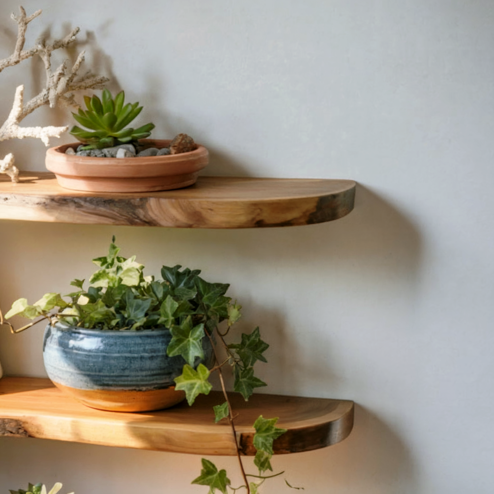 Schwebendes Eck-Wandregal mit Baumkante – Holzregal für Wohndekor & Aquarium