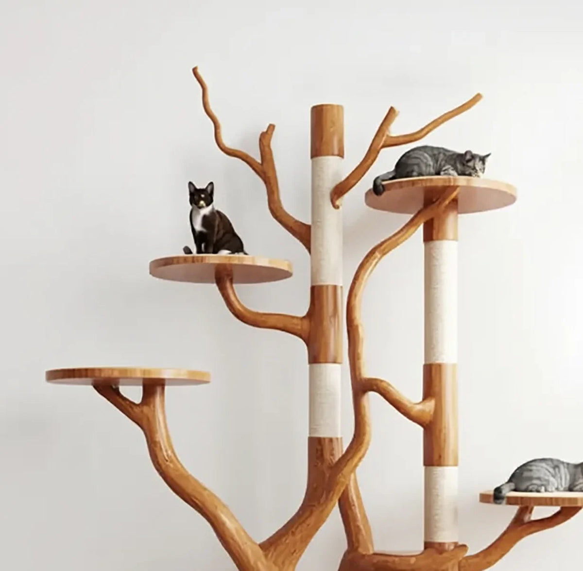 Rustikaler Baum-Katzenturm – Katzenmöbel aus Naturholz fürs Wohnzimmer