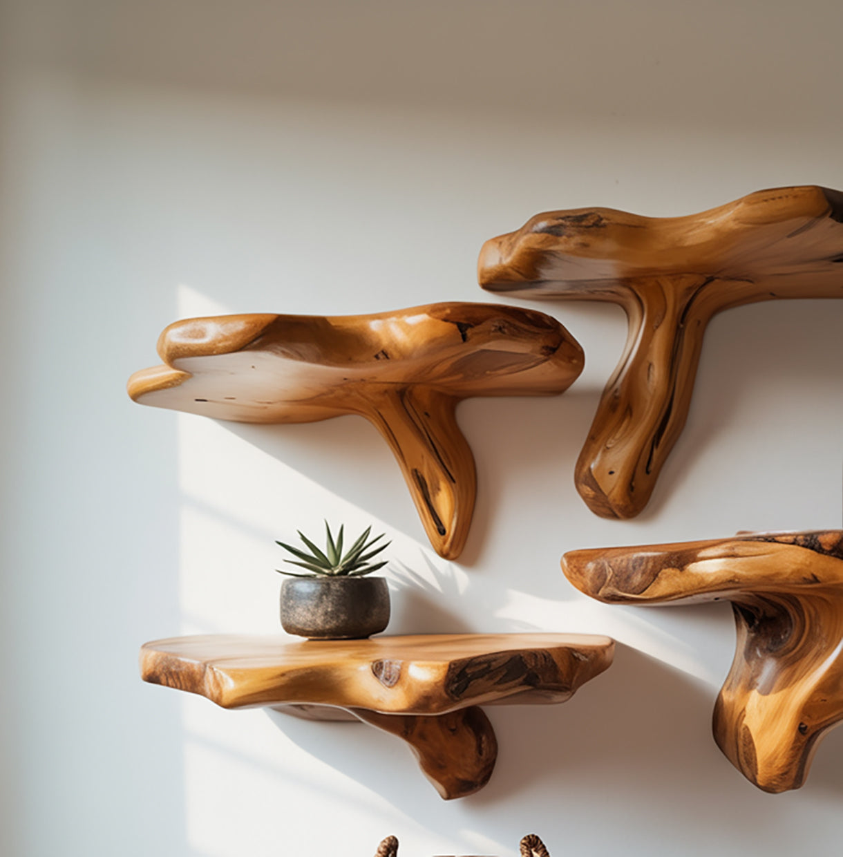 Handgefertigtes Wandregal – Rustikal, Massivholz, Live Edge Pilz-Wanddekoration