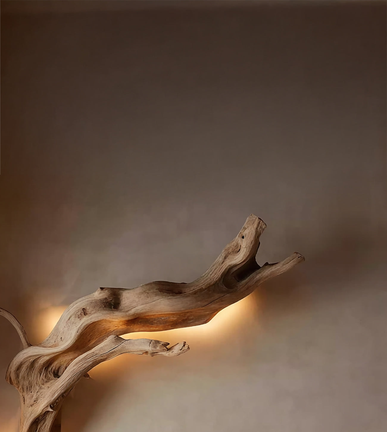 Treibholz-Wandleuchte – handgefertigte rustikale Holzlampe für die Wand