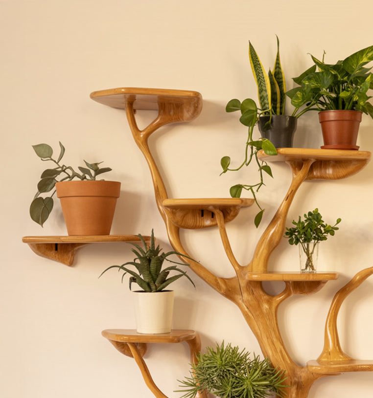 Ast-Wandregal – Massivholz-Schweberegal & Treibholz-Dekor